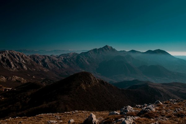 Immerse yourself in british gardening: join interactive workshops for a genuine hands-on journey