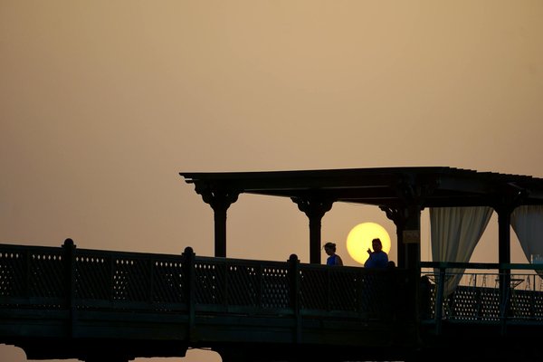 Explore the uk's magical winter gardens illuminated with glittering lights and festive cheer